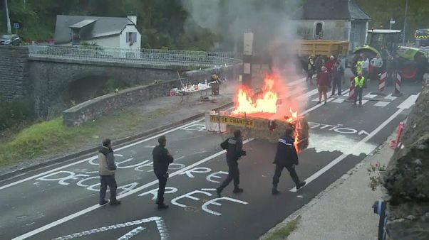 Francia libera una osa en los Pirineos Francia libera una osa en los Pirineos