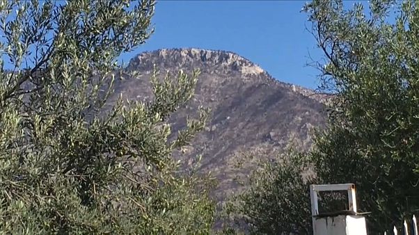 Grecia: erosione del suolo a causa di incendi e piogge Grecia: erosione del suolo a causa di incendi e piogge