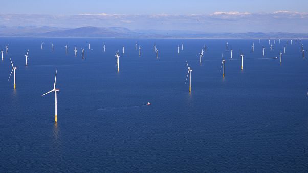 Rüzgar enerjisi çevreye tahmin edilenden daha zararlı Rüzgar enerjisi çevreye tahmin edilenden daha zararlı