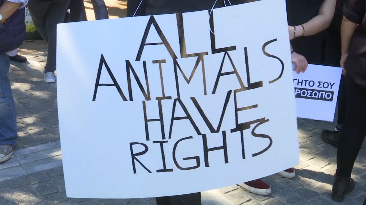 الحيوانات لها حقوق