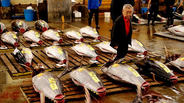 Dünyanın en büyük balık pazarı Tokyo’daki tarihi mekanına veda etti Dünyanın en büyük balık pazarı Tokyo’daki tarihi mekanına veda etti