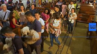 Philippines: pets get blessed in Catholic ceremonies