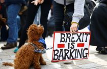 Breves de Bruxelas: Filósofo A.C. Grayling fala sobre o Brexit