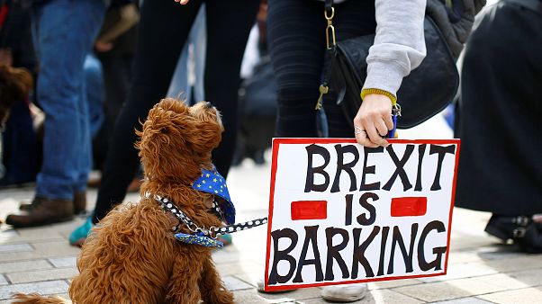 Brexit: újabb népszavazásért kampányol a brit filozófus Brexit: újabb népszavazásért kampányol a brit filozófus