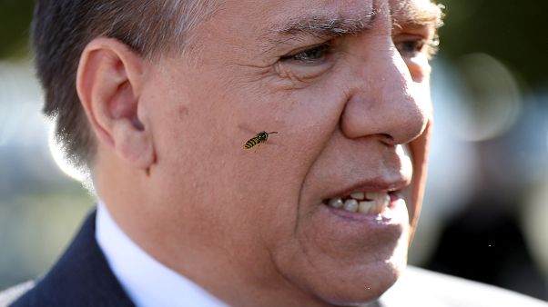 Québec : manifestation contre le racisme et le gouvernement de la CAQ Québec : manifestation contre le racisme et le gouvernement de la CAQ