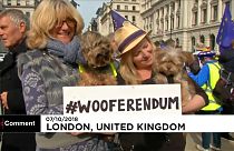 Dog owners demand second Brexit referendum