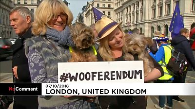 Dog owners demand second Brexit referendum
