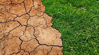 Clima: "Serve una risposta senza precedenti per limitare il riscaldamento globale"