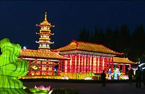 Lantern festival draws crowds to China's Panjin City