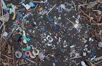 Plastic waste on remote South Atlantic islands ten times greater than a decade ago, research says