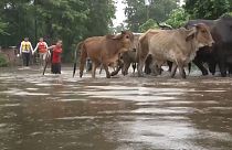 فيضانات السلفادور : مقتل ثلاثة وإجلاء 700 شخص
