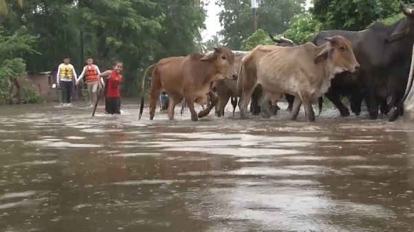 Pluies diluviennes meurtrières au Salvador Pluies diluviennes meurtrières au Salvador