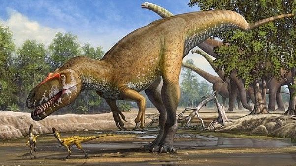 Çin'de milyonlarca yıllık dinozor yumurtası fosilleri bulundu Çin'de milyonlarca yıllık dinozor yumurtası fosilleri bulundu