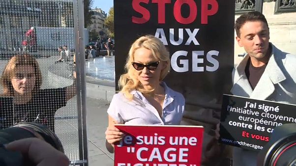 Pamela Anderson mise en cage pour les droits des animaux Pamela Anderson mise en cage pour les droits des animaux