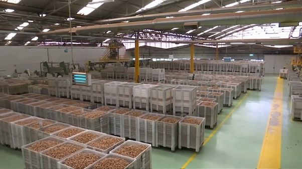 Importações portuguesas aumentaram 8,6% em agosto Importações portuguesas aumentaram 8,6% em agosto