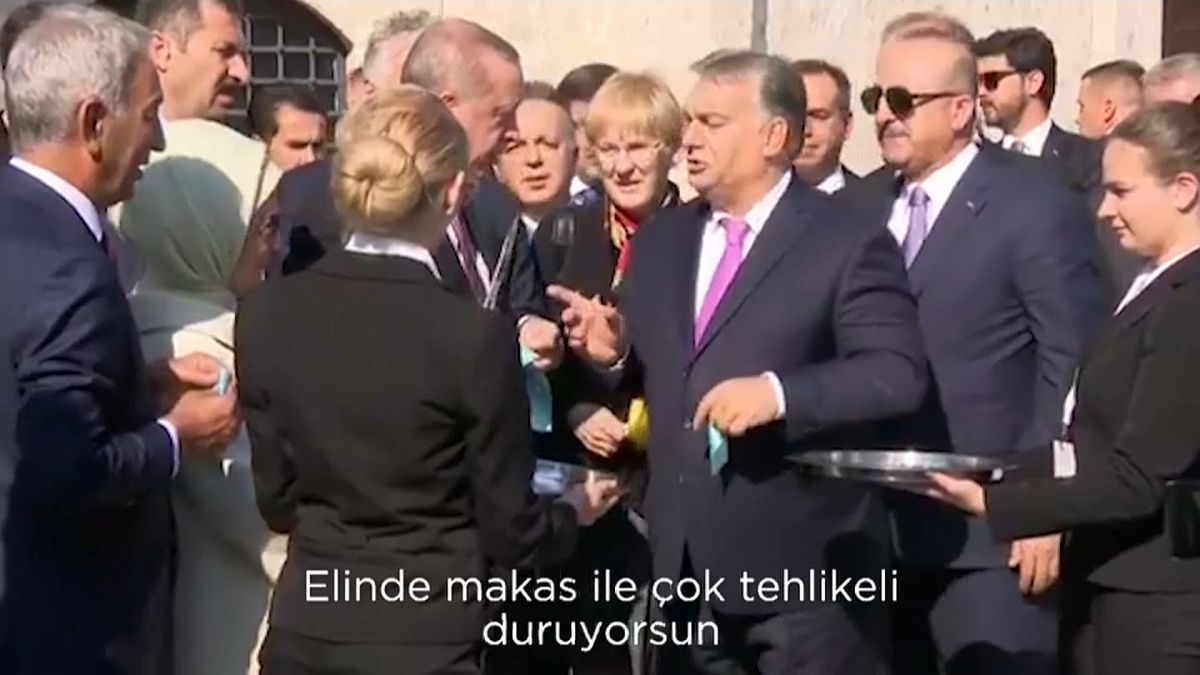 'You are very dangerous', Orban tells Erdogan