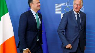 Barnier: Brexit görüşmeleri haftaya sonuçlanabilir, İrlanda meselesi kilit