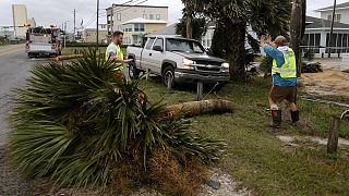 Флорида приходит в себя после разгула стихии