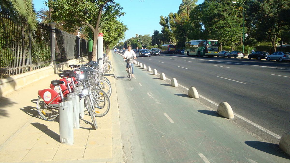 Bike lane on the Paseo de la Palmera in Seville