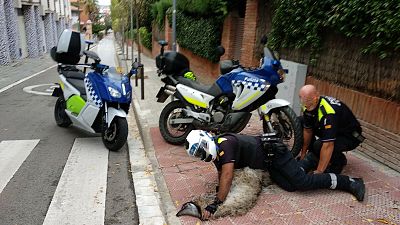 Dos agentes de policía retienen al emú en Sant Cugat