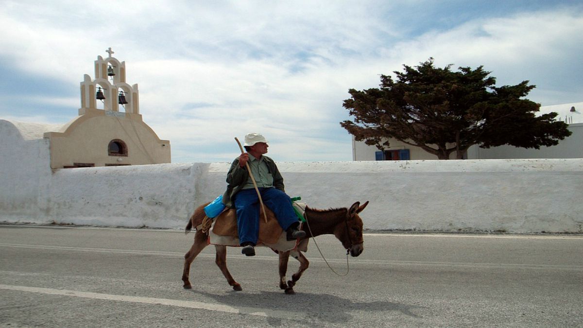 جزيرة يونانية تحظر ركوب الحمير على السياح الزائد وزنهم أكثر من 100 كلغ