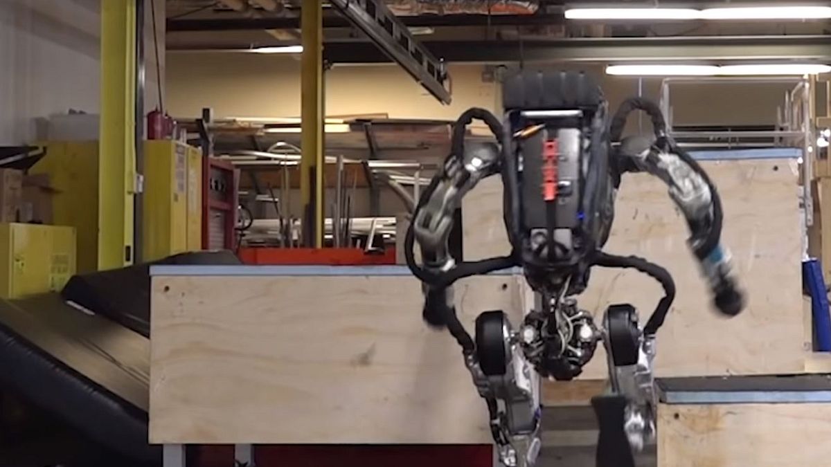 The Atlas robot