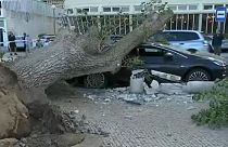 27 injured as hurricane-force winds batter Portugal