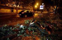 Strom weg: Portugal kämpft mit den Sturmschäden