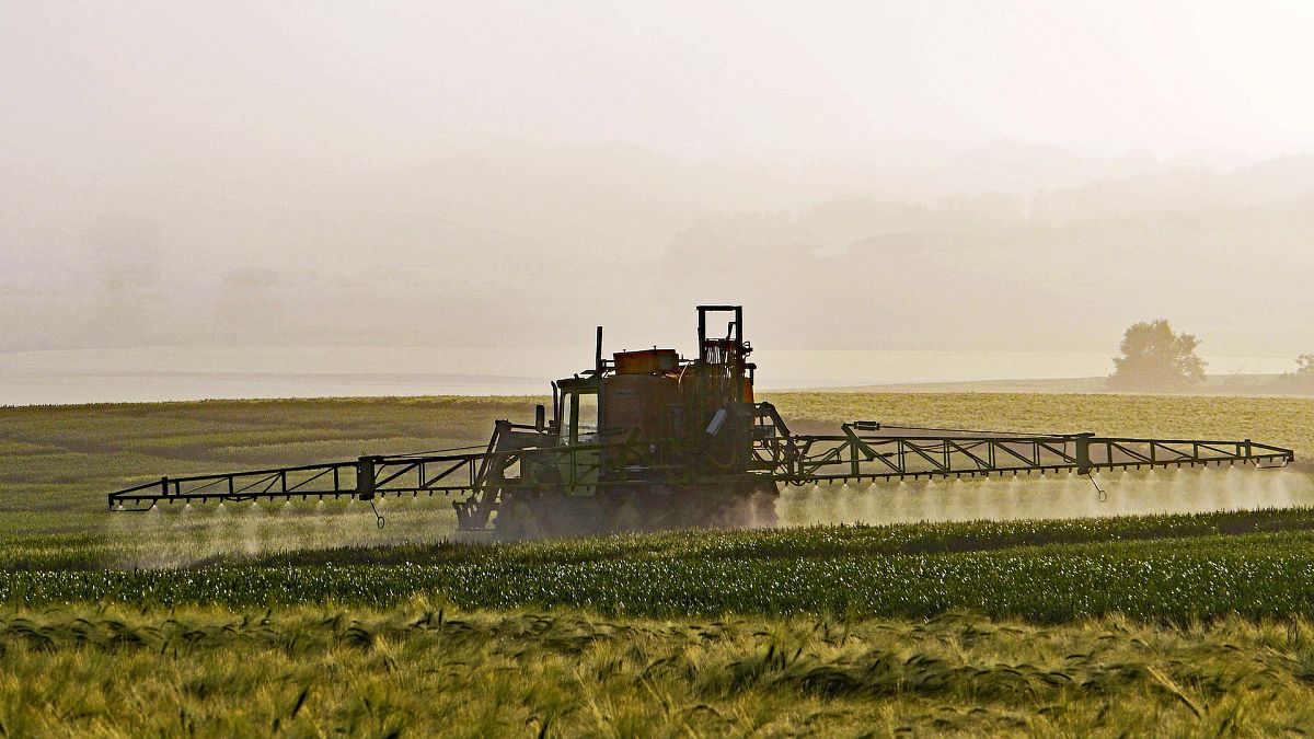 Pesticidi: l'Italia è il terzo paese della UE in cui se ne vendono di più