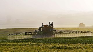 Pesticidi: l'Italia è il terzo paese della UE in cui se ne vendono di più