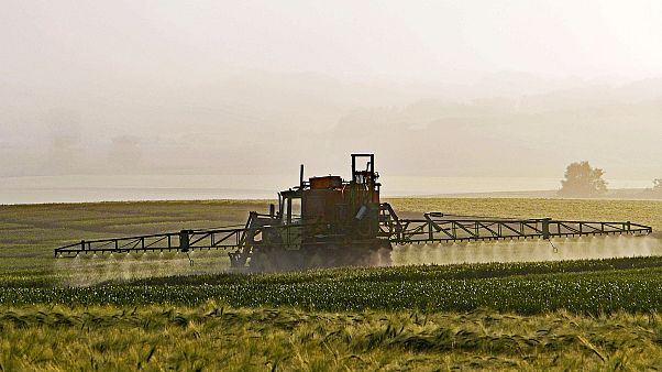 ¿Qué país europeo consume más pesticidas? ¿Qué país europeo consume más pesticidas?