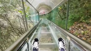 Watch: Tourists test their nerve on glass slide in China’s Shangluo
