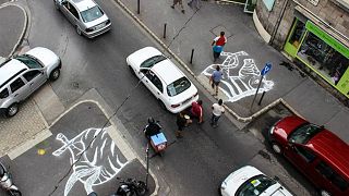 Activists paint zebra's head and tail near road in bid to get crossing