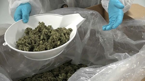 أطباء كنديون يدينون عدم مراقبة استهلاك الحشيش بعد تقنينه الوشيك أطباء كنديون يدينون عدم مراقبة استهلاك الحشيش بعد تقنينه الوشيك