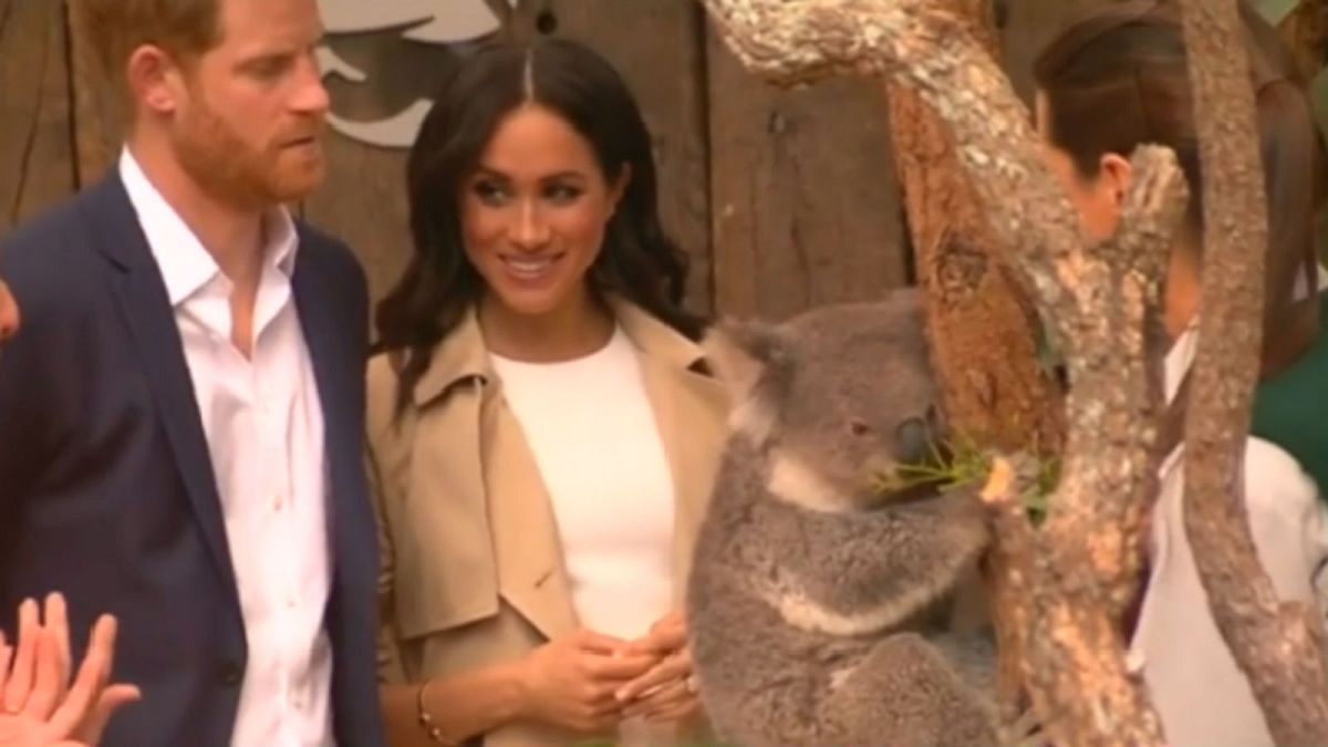 Watch: Prince Harry and Meghan meet koala in Sydney