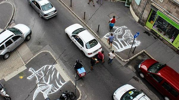 A budapesti Hattyú utcai zebrarajz A budapesti Hattyú utcai zebrarajz