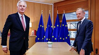 دیدار نماینده بریتانیا در امور برکسیت و رئیس شورای اروپا
