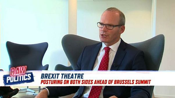 Ireland's foreign minister draws Ireland's red lines in Brexit negotiations Ireland's foreign minister draws Ireland's red lines in Brexit negotiations