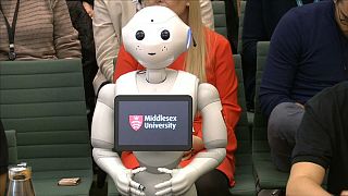 شاهد: البرلمان البريطاني يستجوب "الروبوت فلفل"
