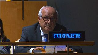 الأمم المتحدة تمنح فلسطين صلاحيات "رئاسية"
