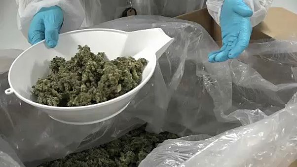 Kanada legalizálta a marihuánát Kanada legalizálta a marihuánát