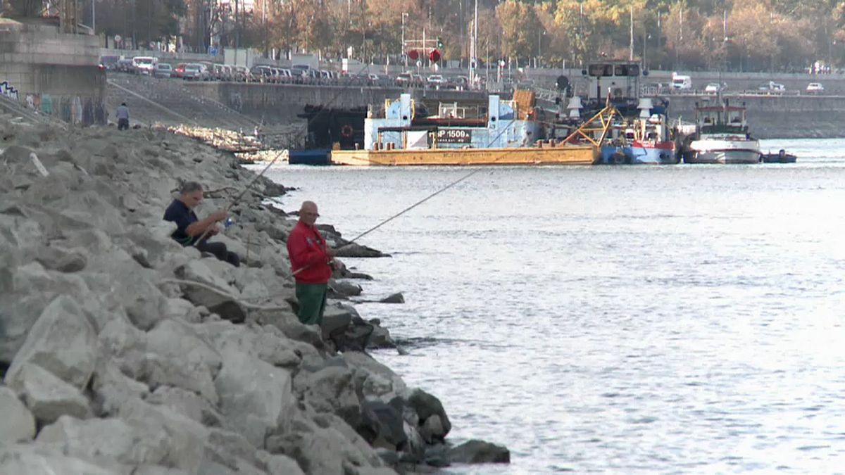 Rund 40 Zentimeter: Stand der Donau sinkt auf Rekordtief