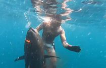 شاهد: صياد أمريكي يناور سمكة تونة عملاقة نادرة