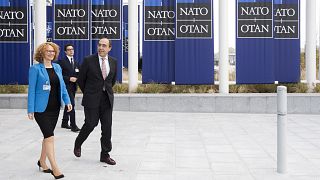 Διαπραγματεύσεις για την ένταξη στο ΝΑΤΟ