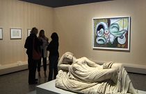 "Metamorfose de Picasso"