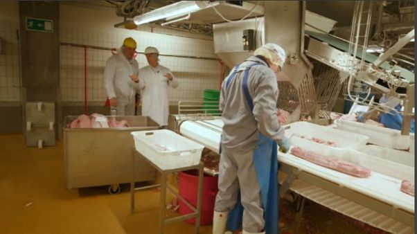 Brexit: a rischio la pancetta sulle tavole inglesi Brexit: a rischio la pancetta sulle tavole inglesi