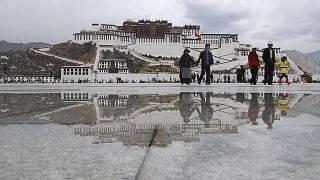 Esőerdő terült el a mai Tibet területén 40 millió éve