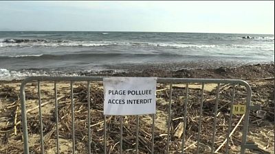 شاهد: تنظيف شاطئ الريفييرا الفرنسي بعد حادث تصادم سفينتين 