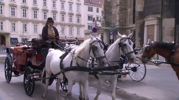 Wien streitet über die Fiaker Wien streitet über die Fiaker