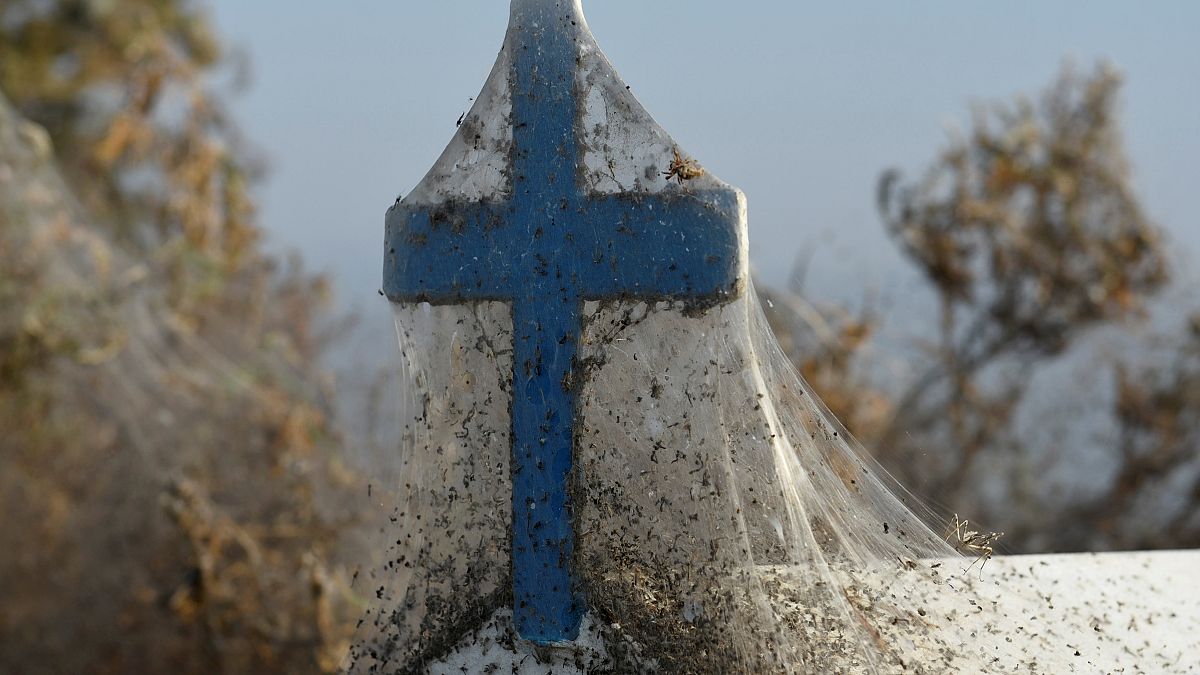 Un manto de telarañas cubre un lago en Grecia